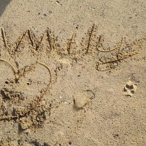 Meet your Posher, Jieun